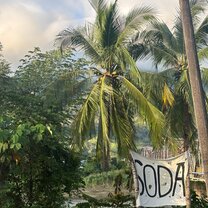 A Soda is a small family owned restaurant that serves local food and is a common lunch spot.